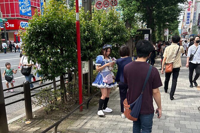 Crazy about Anime! Private Full Day Tokyo Manga Anime Tour by Chartered Vehicle - Final Thoughts