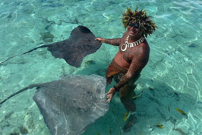 Crazy sea horse Bora Bora Comfortable boat, snorkeling and lunch - FAQ