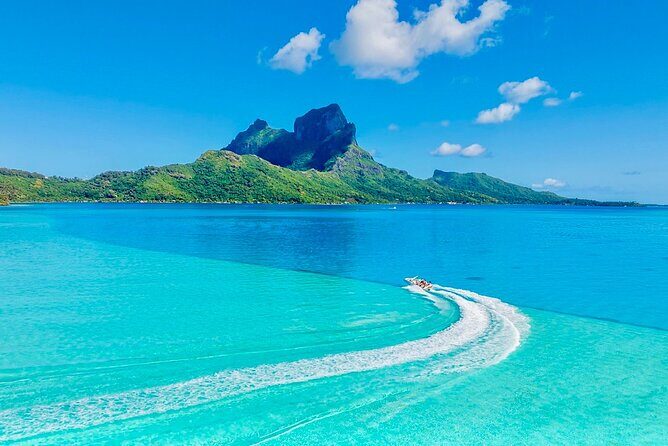 Crazyseahorseborabora Comfortable boat , sensational snorkeling . - Final Thoughts