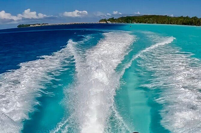 Crazyseahorseborabora Comfortable boat , sensational snorkeling . - Frequently Asked Questions