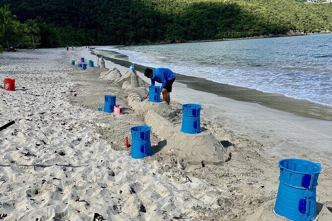 Create A Castle Sandcastle Lessons - Authentic Feedback from Travelers