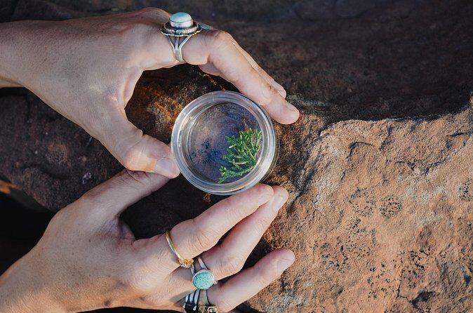 Create Energetic Flower Essences and Reconnect with Nature - Who Should Consider This Tour?