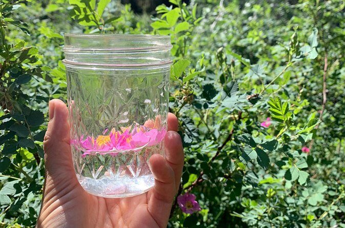 Create Energetic Flower Essences and Reconnect with Nature - Final Thoughts