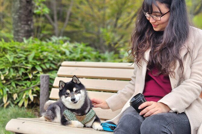 Create Your Custom Tokyo Food and Culture Tour - Who Will Love This Tour?