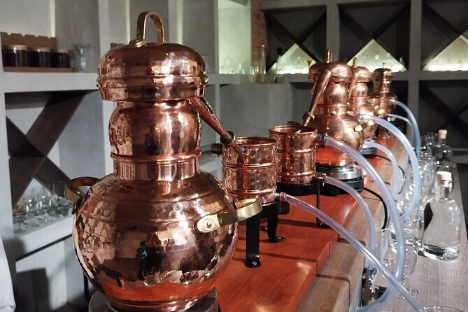 Create your own Gin at Riga Gin Laboratory - Who Should Consider This Experience?