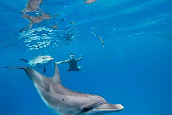 Create-Your-Own Luxury Adventure in Bimini with photographer - Experience the Beauty of Bimini with a Customizable Luxury Tour