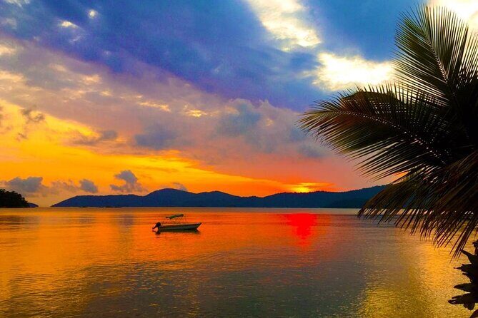 Creative Private Transfer Rio de Janeiro and Paraty - Authentic Experiences and Traveler Feedback