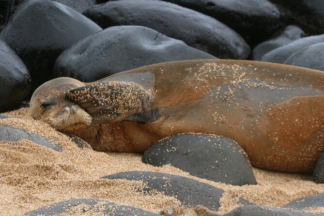 Creative Soul Scavenger Hunt( Hanapepe, Kauai) - Exploring the Kauai Scavenger Hunt in Depth