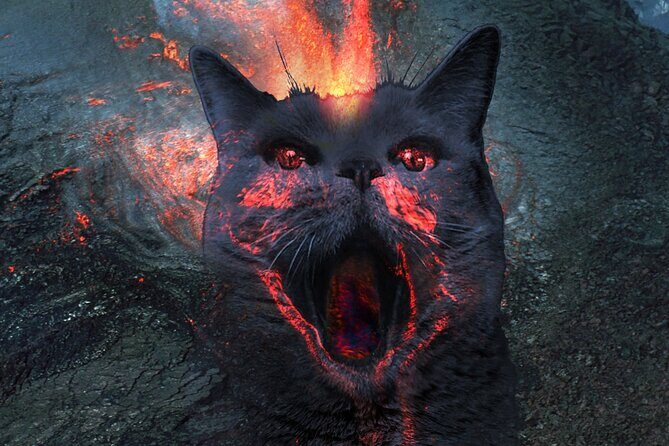 Creative Soul Scavenger Hunt( Kona Big island Hawaii) - A Detailed Look at the Creative Soul Scavenger Hunt in Kona