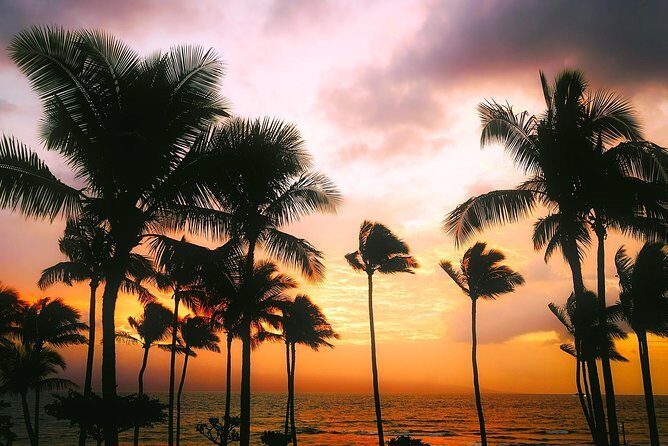 Creative Soul Scavenger Hunt( Kona Big island Hawaii) - FAQs