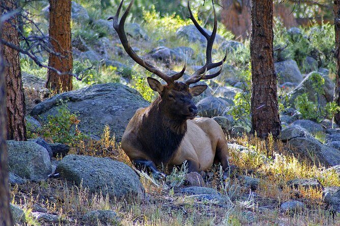 Creative Soul Scavenger Hunt of Steamboat Springs - Key Points