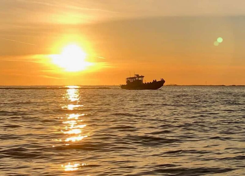 Crescent Beach: Sunset Wildlife Cruises in BC - Crescent Beach: Sunset Wildlife Cruises in BC