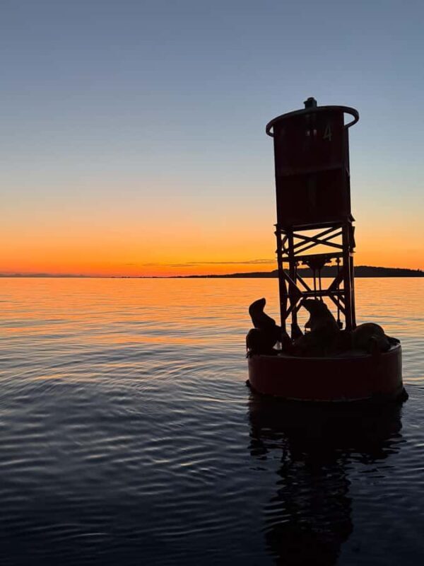 Crescent Beach: Sunset Wildlife Cruises in BC - Key Points