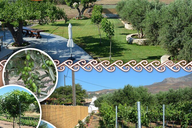 Cretan Traditional Cooking Lessons - Cretan Traditional Cooking Lessons: A Delicious Dive into Crete’s Flavors
