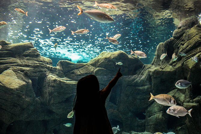 CRETAquarium Entrance Ticket in Crete - Frequently Asked Questions