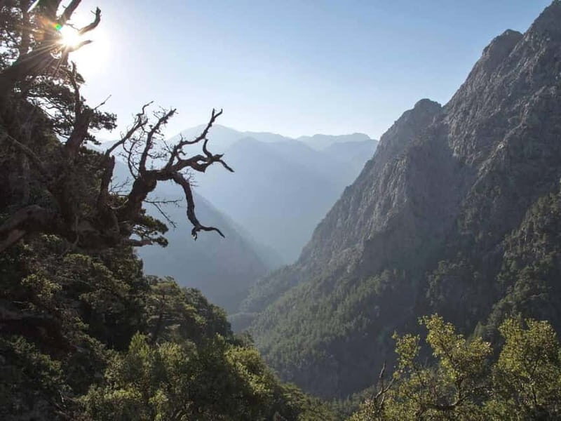 Crete Above the Clouds: Private 4x4 White Mountains Safari - What’s Included & What’s Not