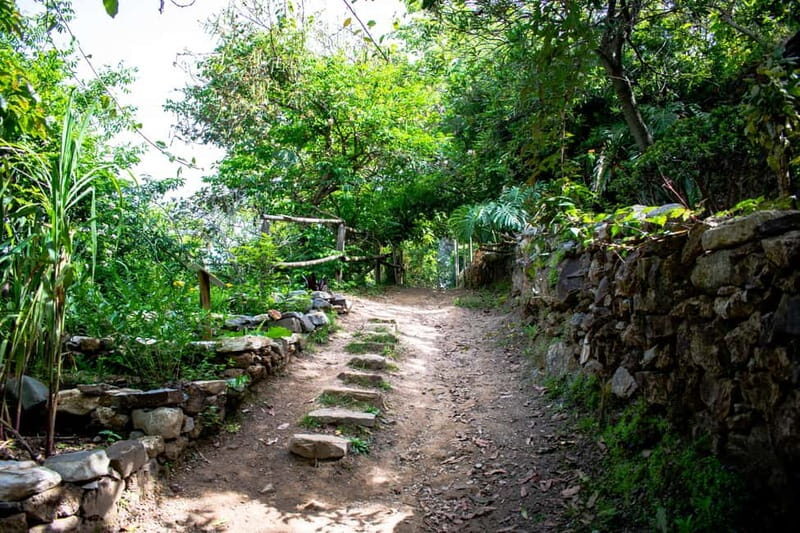 Crete Above the Clouds: Private 4x4 White Mountains Safari - FAQ