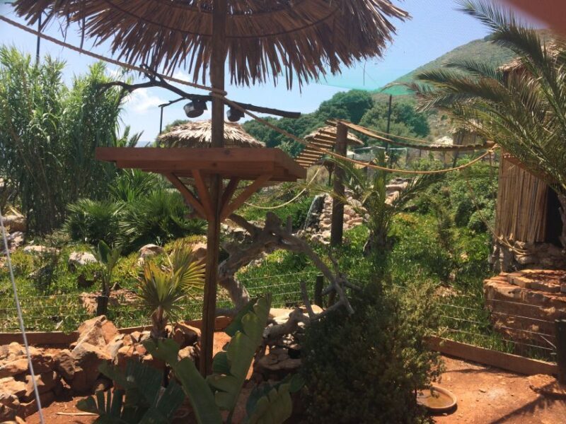 Crete: Agios Nikolaos, Kritsa and Amazonas Park Day Trip - Final Thoughts
