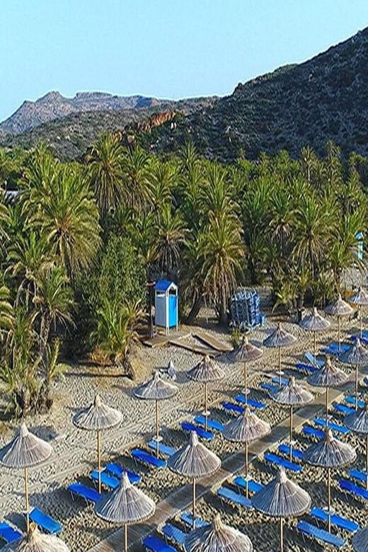 Crete and Heraklion Areas: Direct Day Trip Vai Beach - Key Points