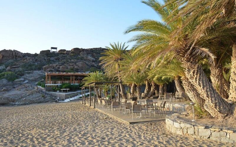 Crete and Heraklion Areas: Direct Day Trip Vai Beach - Practical Tips for Making the Most of Your Day