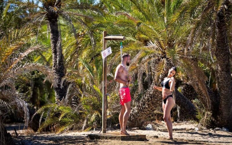 Crete and Heraklion Areas: Direct Day Trip Vai Beach - Summary