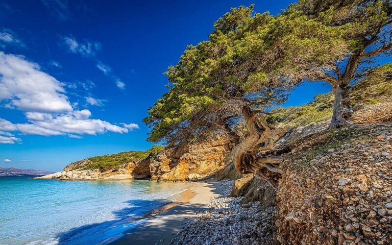 Crete and Heraklion Areas: Direct Day Trip Voulisma Beach - The Practicalities: What You Need to Know