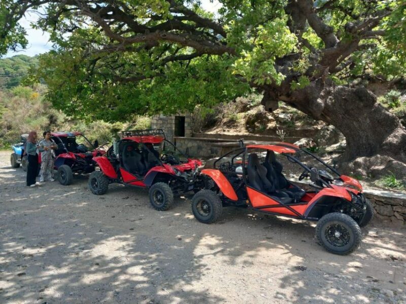 Crete buggy safari - Why You Should Consider This Tour