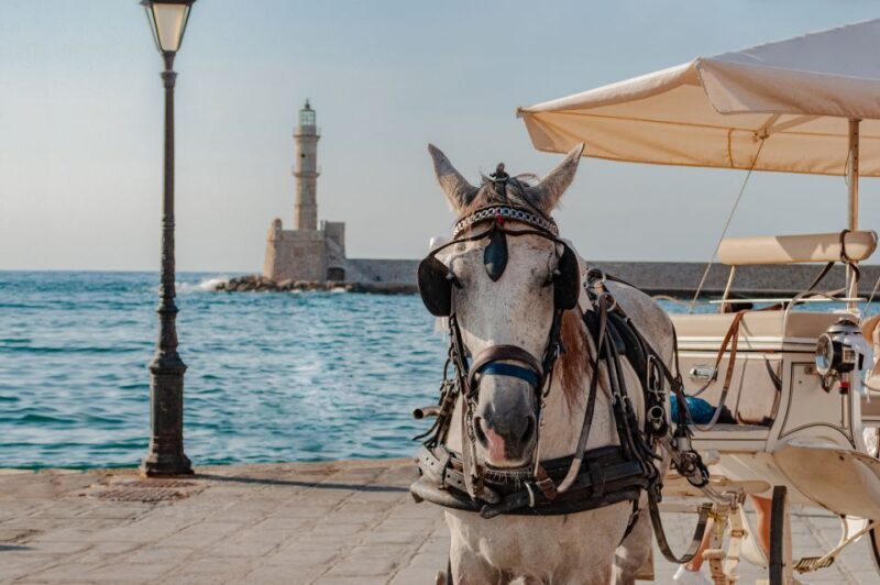 Crete: Chania, Kournas and Rethymno Private Guided Tour - A Deep Dive into Crete’s Highlights