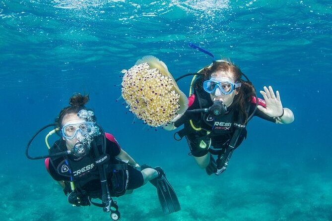 Crete-Chania: Snorkeling & Scuba Dive for Beginners by Boat - Exploring Crete’s Underwater World: Snorkeling & Scuba Diving for Beginners
