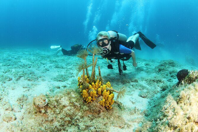 Crete-Chania: Snorkeling & Scuba Dive for Beginners by Boat - A Deep Dive into Crete’s Underwater Adventure