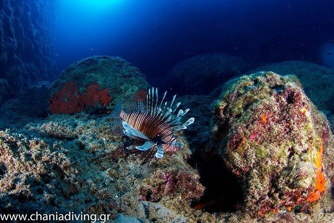 Crete-Chania: Snorkeling & Scuba Dive for Beginners by Boat - FAQs