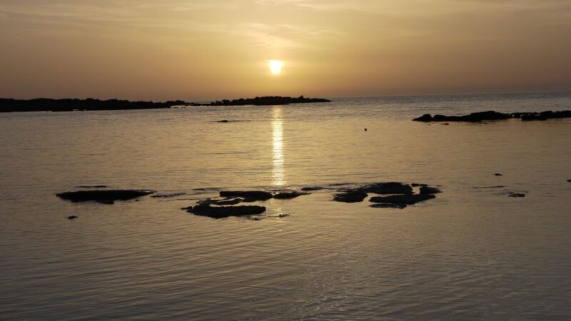 Crete: Elafonisi Pink Beach Excursion - A Closer Look at the Tour Experience