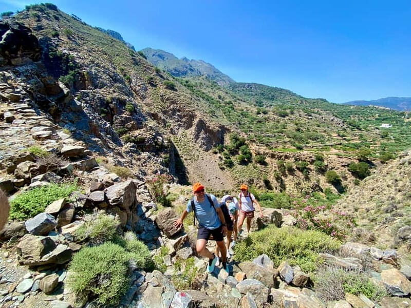 Crete: Guided Hiking Tour, Kavousi Canyon & Swimming - An In-Depth Look at the Crete Guided Hiking Tour