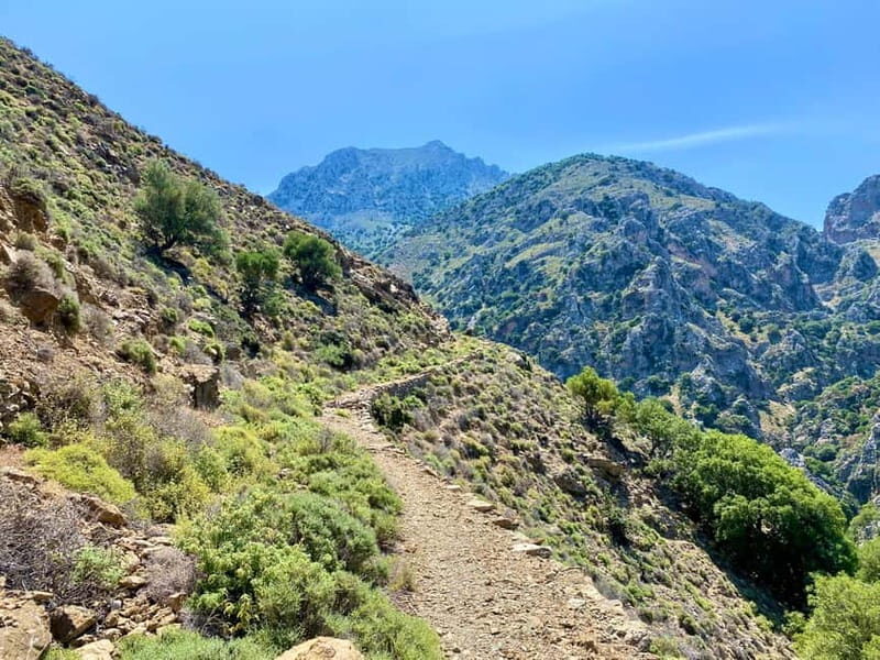Crete: Guided Hiking Tour, Kavousi Canyon & Swimming - Frequently Asked Questions
