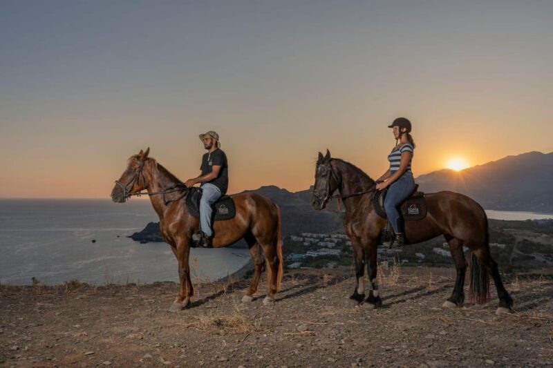 Crete Horse Riding: East Coastline Ride - What’s Included and What to Bring