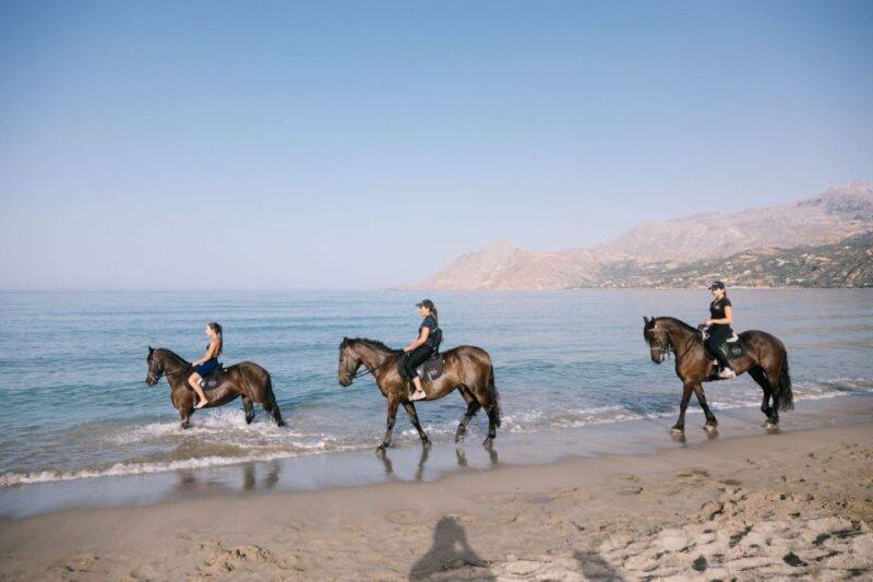 Crete Horse Riding: Plakias Beach Ride - The Sum Up