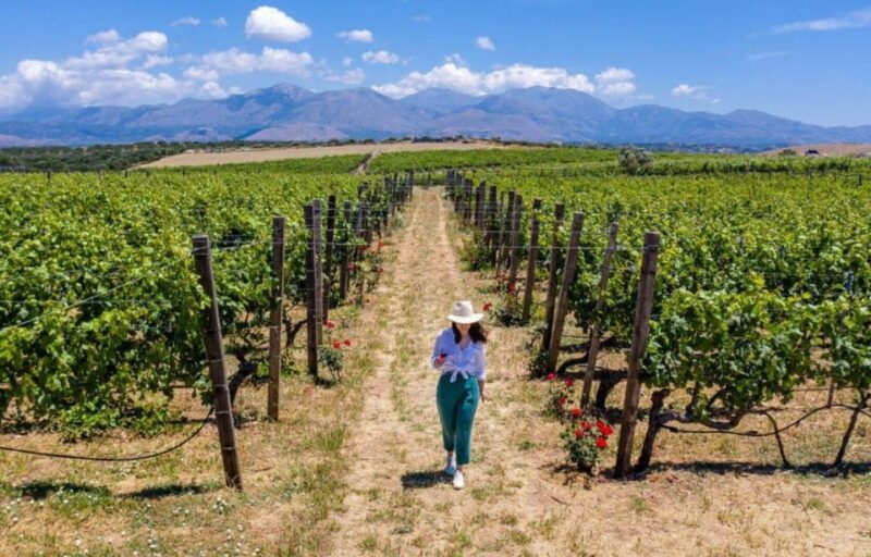 Crete: Knossos Palace and Archanes with Wine Tasting Tour - Exploring Crete’s Classics: A Closer Look at the Tour