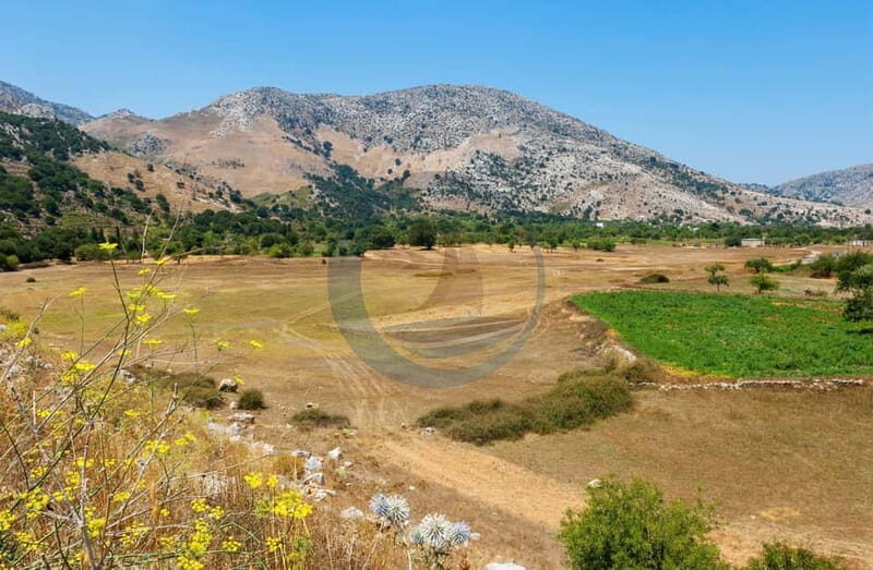 Crete: Knossos Palace, Lasithi, Olive Oil Factory Tour - An In-Depth Look at Crete’s Full-Day Tour