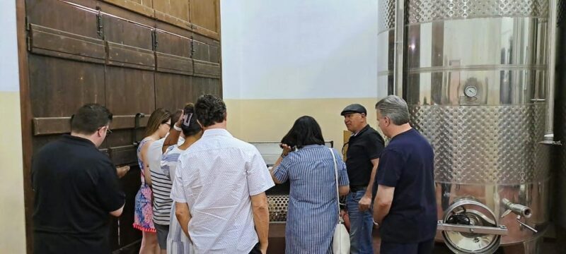 Crete: Knossos Palace, Winery & Olive Oil Tour with Lunch - An In-Depth Look at the Tour Experience