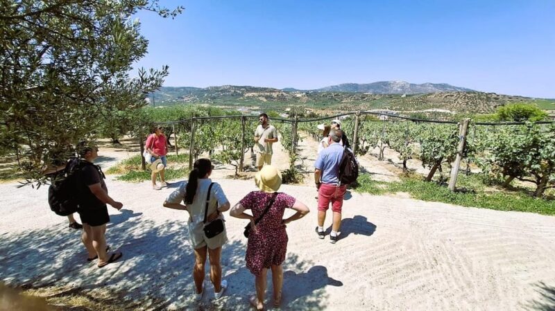 Crete: Knossos Palace, Winery & Olive Oil Tour with Lunch - Who Will Love This Tour?