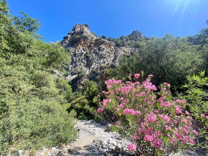 Crete: Kritsa Canyon Guided Hiking Tour - Potential Drawbacks or Considerations