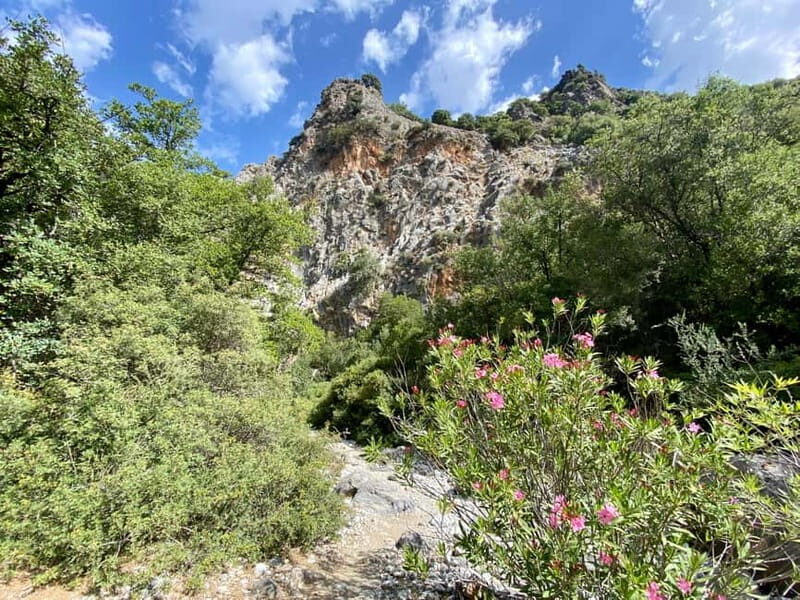 Crete: Kritsa Canyon Guided Hiking Tour - Who Will Enjoy This Tour Most