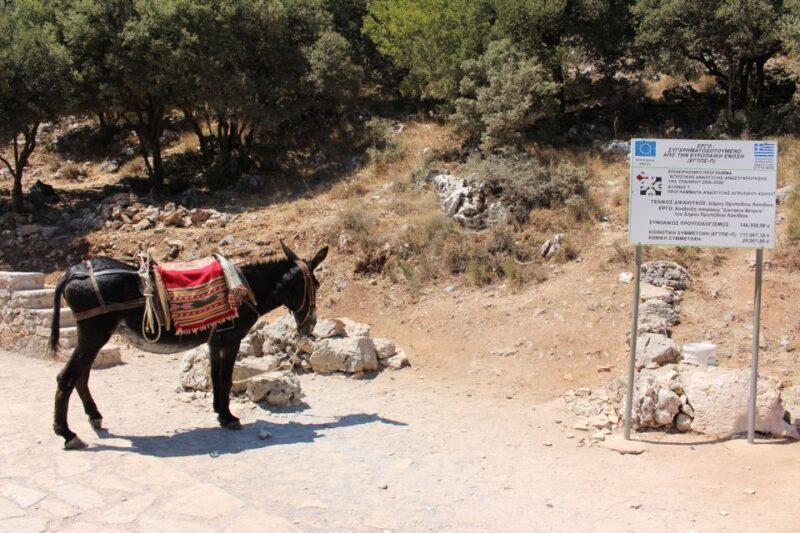 Crete: Land Rover Safari Through the Plateaus - What’s Included and What’s Not