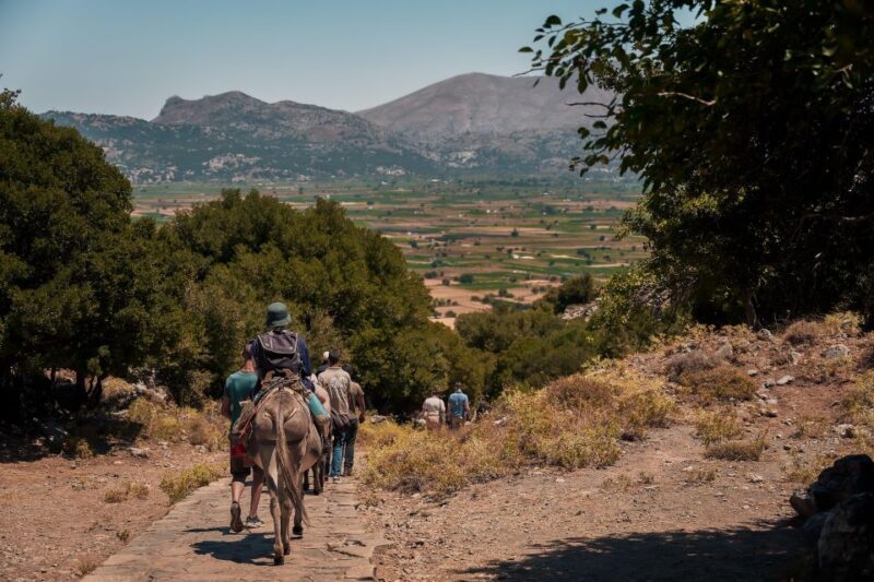 Crete: Lasithi Plateau & Knossos Palace Tour - FAQ