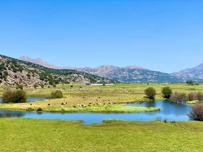 Crete: Lassithi Plateau Guided Hiking Tour - An In-Depth Look at the Crete Lassithi Plateau Tour