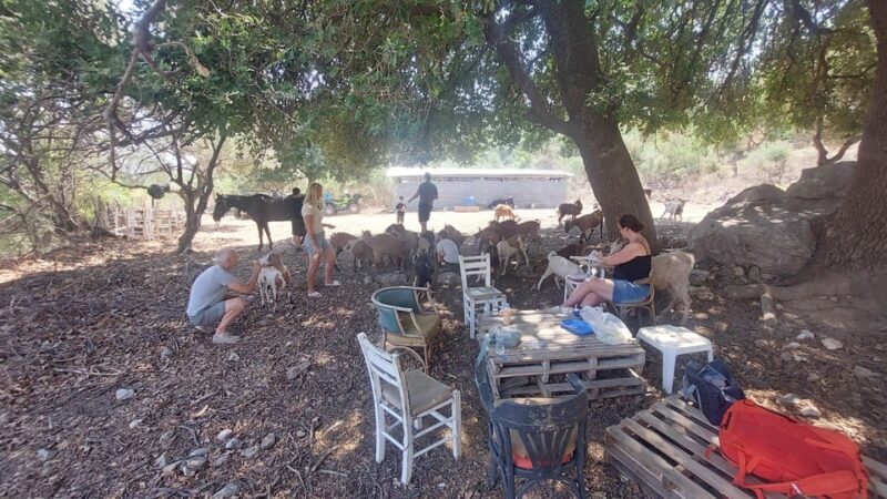 CRETE :MALIA HERSSONISOS QUADS ECOTOUR ADVENTURE - HIGH PERF - The Sum Up