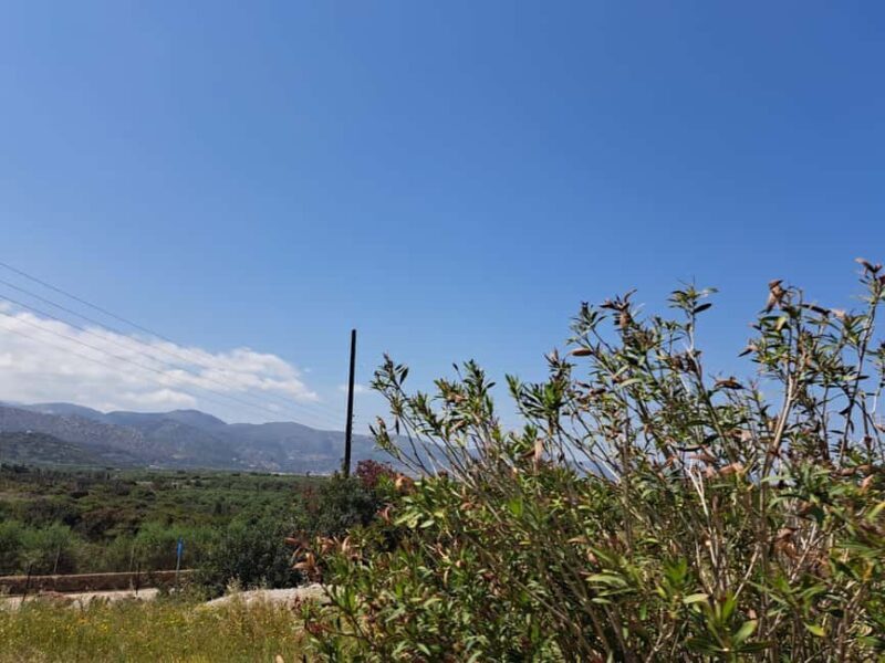 Crete: Malia, Potamos Beach, and Sissi Tuk Tuk Tour - Exploring the Highlights of the Crete Tuk Tuk Tour