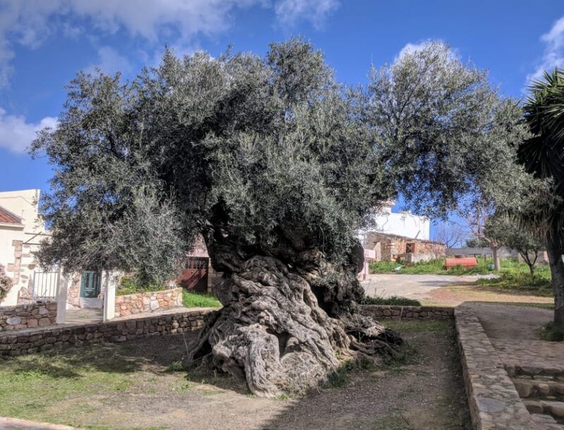 Crete: Melidoni Cave, Honey, Olive Oil & Reptisland - FAQs