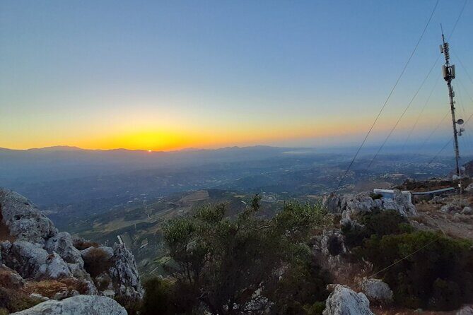 Crete: Olive, Wine, Raki - Flavorful Culinary Journey - A Deep Dive into the Experience