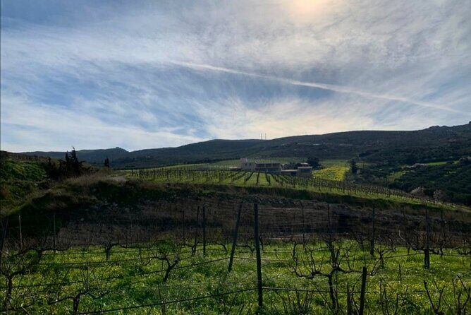 Crete: Olive, Wine, Raki - Flavorful Culinary Journey - FAQ